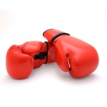 619PR Economy Leather Boxing Glove - Red