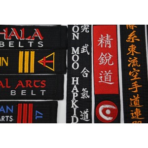 231T Custom Embroidered Belt, Two Line
