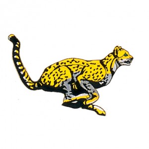 P1429 CHEETAH PATCH