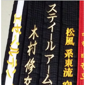 231 Custom Embroidered Belt, One Line